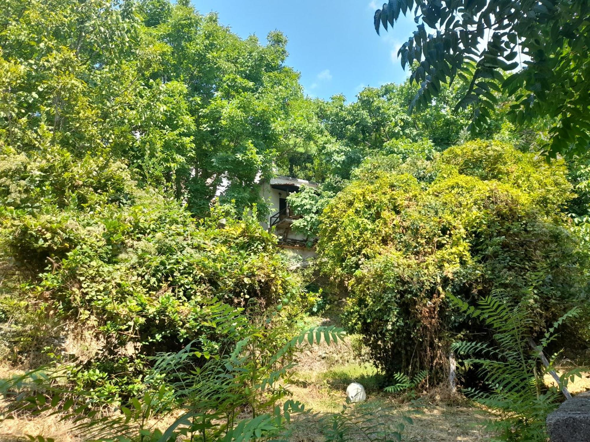 Mountain And Sea View Villa Mileai Ngoại thất bức ảnh