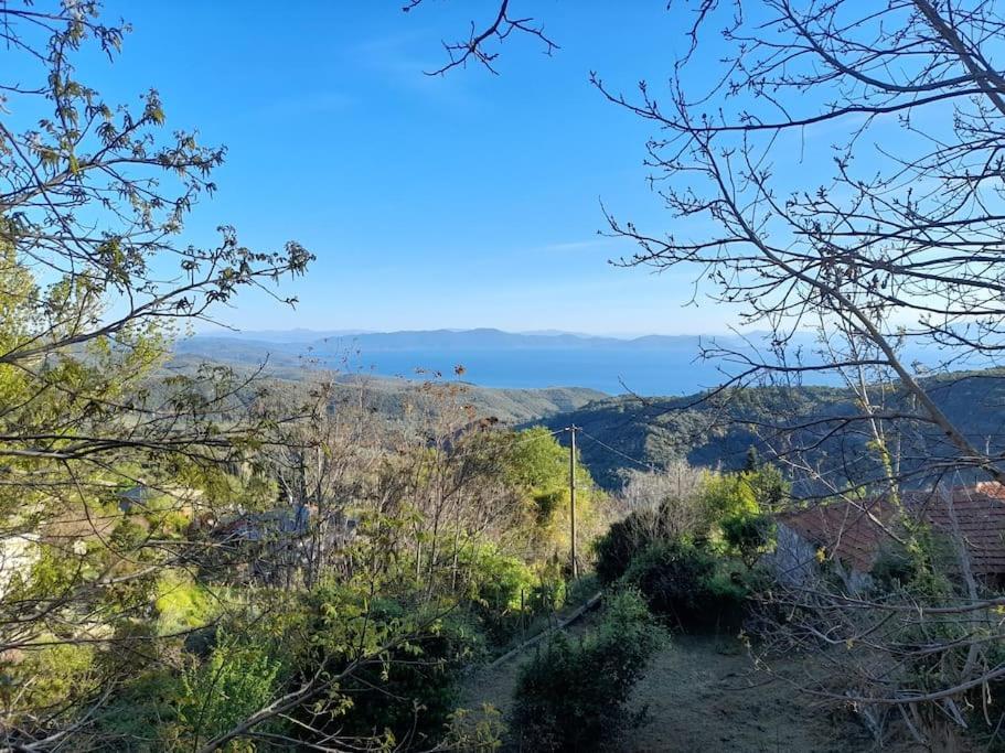 Mountain And Sea View Villa Mileai Ngoại thất bức ảnh